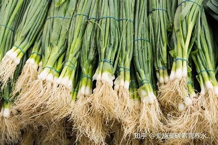 种植大葱用什么肥最好？