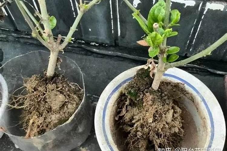 化学作用力怎么算含量