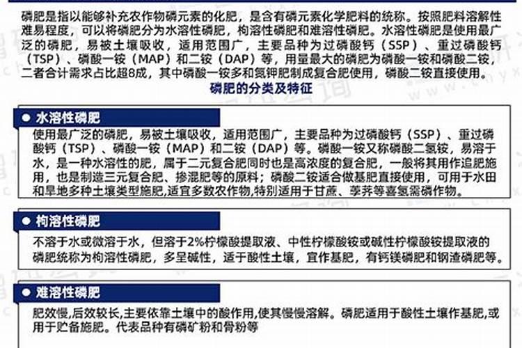 玉米打什么叶面肥最好