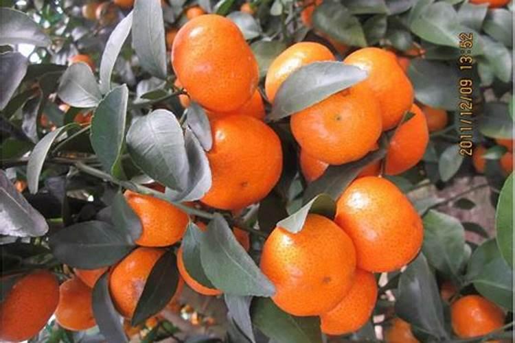 还在玩手机？ 妻子长期沉迷聊天软件, 丈夫将其活活打死