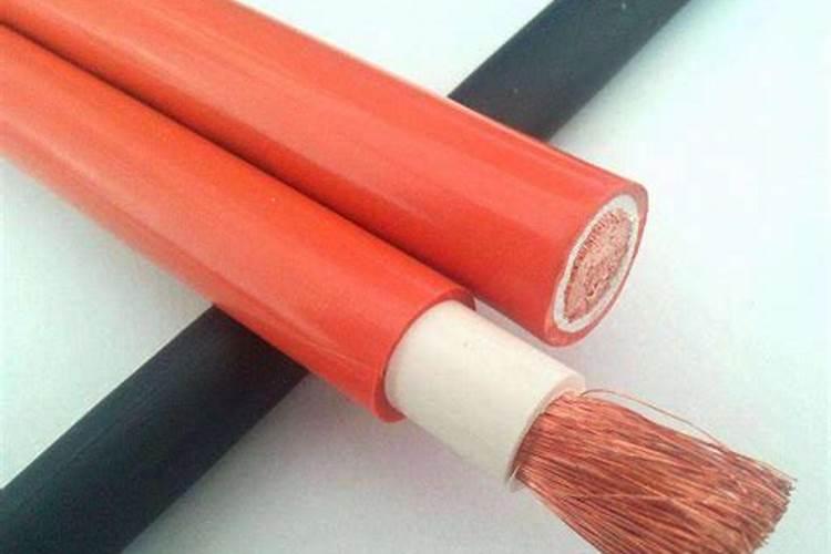 油菜的移栽时间和方法花卉百科