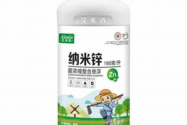 养虎皮兰,喂上2种“小东西”,新芽挤满花盆