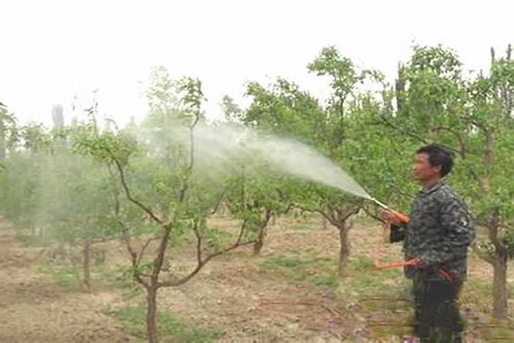 叶面肥什么时候打燃热天打好吗