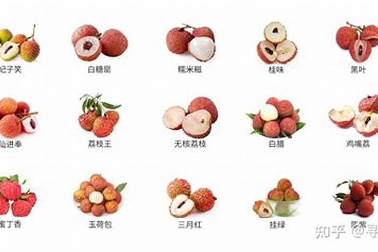 露天茄子种出来没有光泽怎么回事