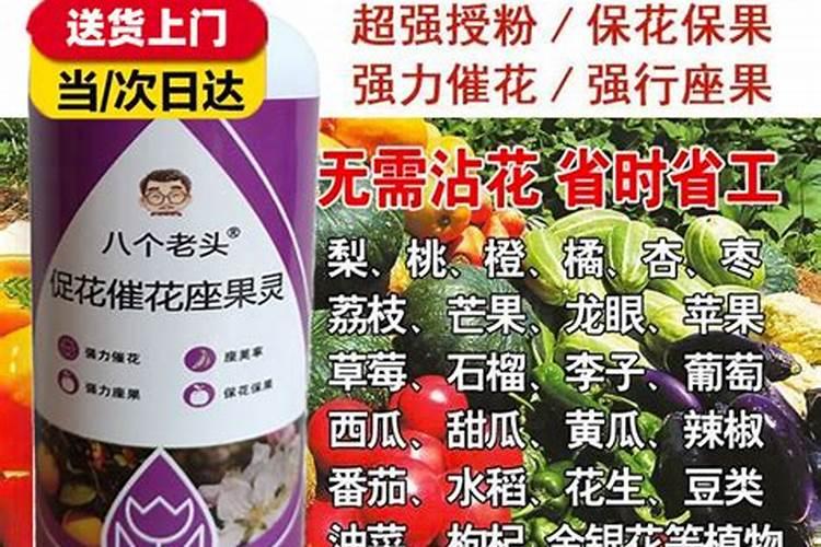 杜伟坤个人资料