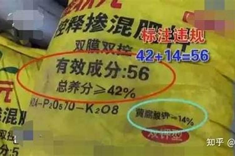 金边吊兰叶子总是软耷耷的是怎么回事？