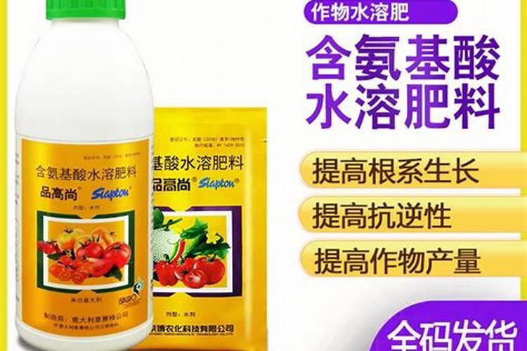 观音莲要用什么土种 急