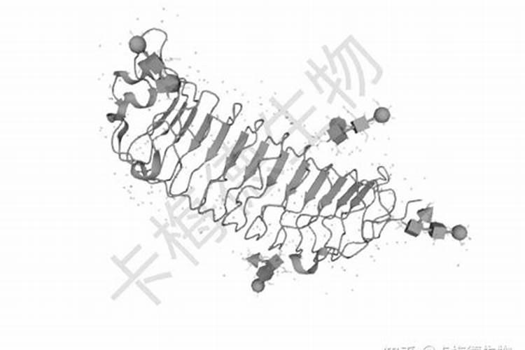 叶子发黄该施什么肥