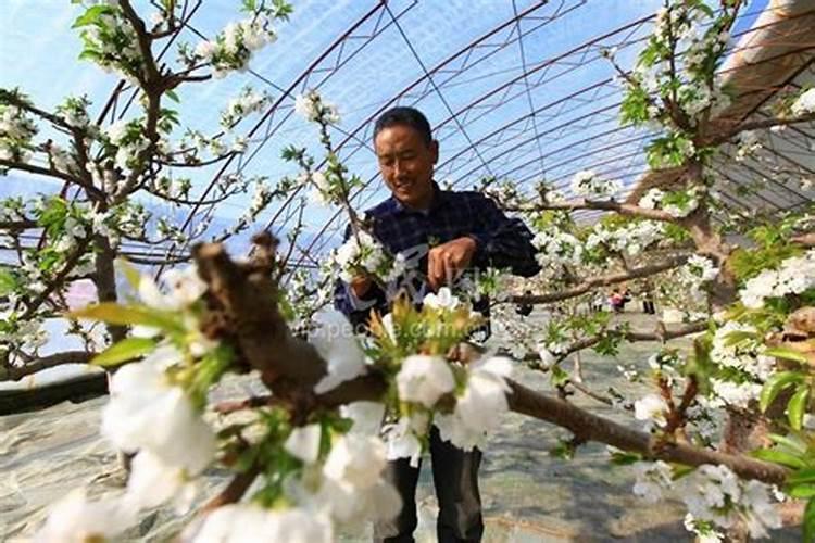 生石灰吸潮能用几天