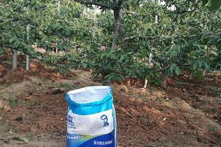 仁德康泰生命素一号的作用与功效是什么？