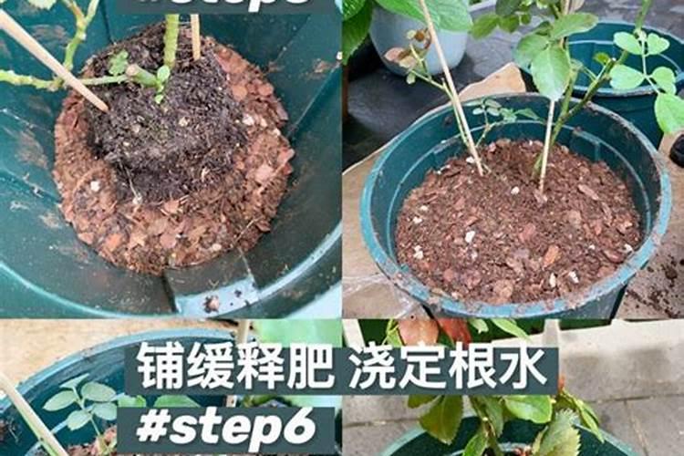 乌金绿有机水溶肥含氮量高吗