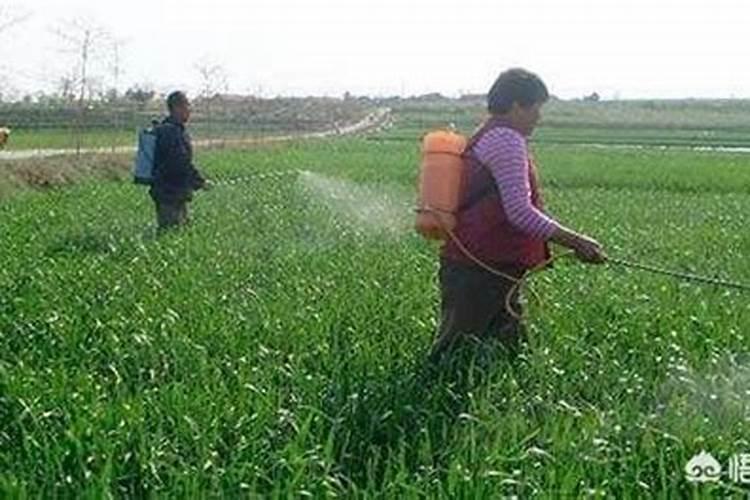 氮肥、磷肥和钾肥分别有什么作用？