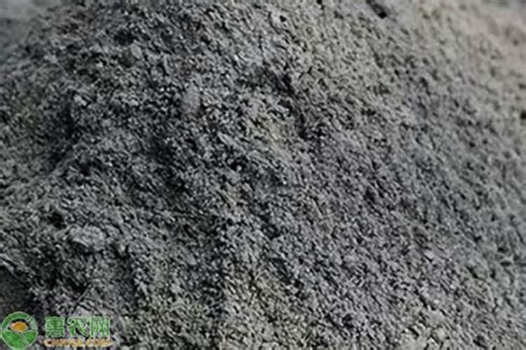 玉兰花用什么肥料最好