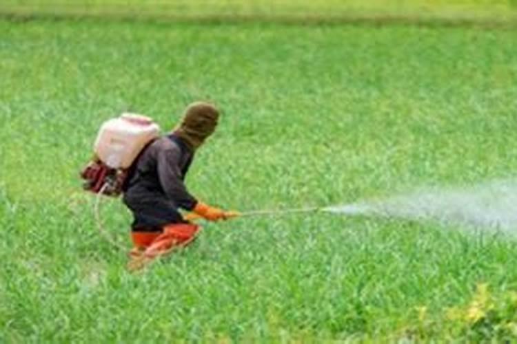 大棚杀菌剂阴天能打吗