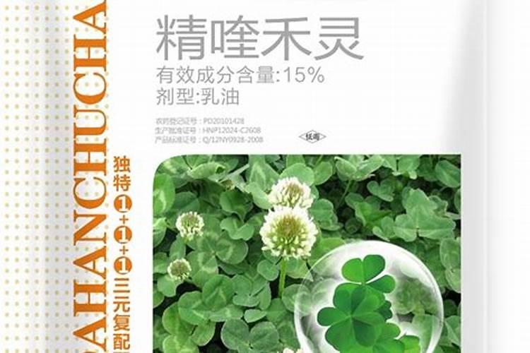 种植大蒜主要用什么肥料？