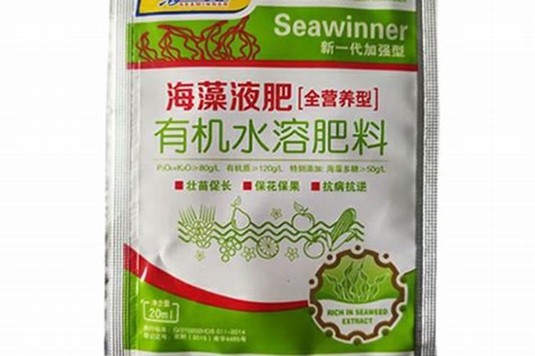 用蛭石种香菜怎么种