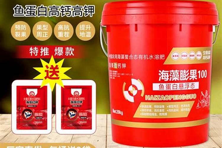 龟背竹怎么养才能更旺盛