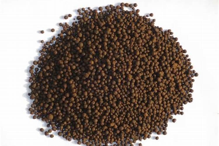 白掌用什么肥料最好