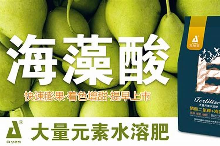 梨树施什么肥好