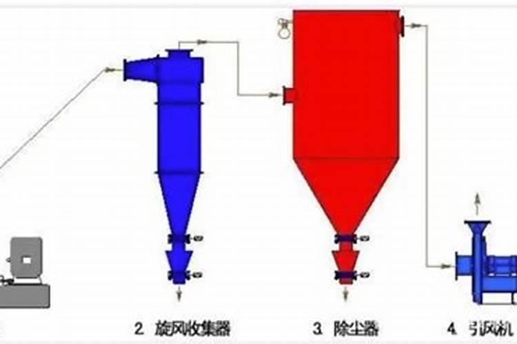 蓝莓苔藓苗如何养护