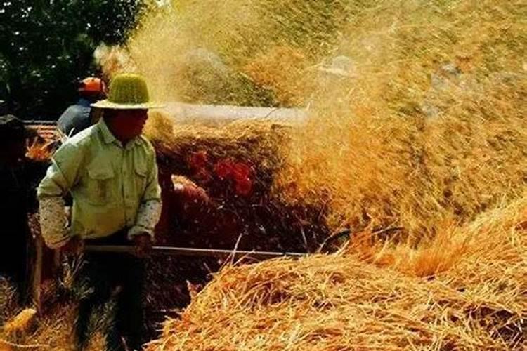 金典有机纯牛奶和纯牛奶的区别