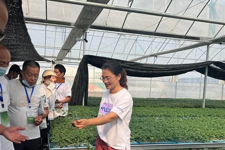 7月份山药张慢吗