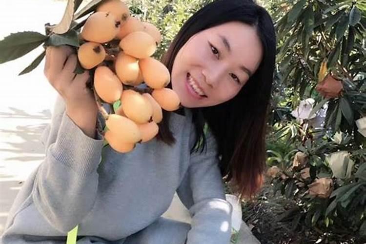 硼砂、硼酸及硼肥生产技术