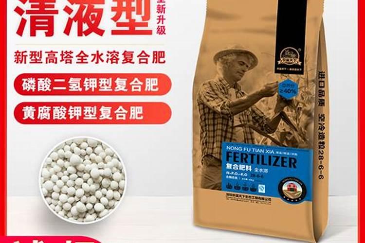 种下去的水稻啥时候放肥料最好