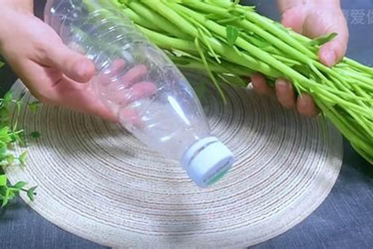 龙利鱼的营养价值