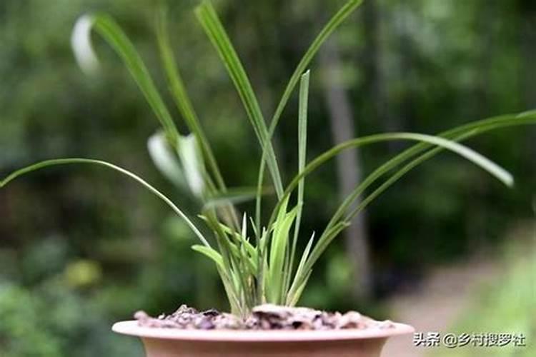 干洗店需要哪些设备,干洗机价格,一套干洗设备多少钱