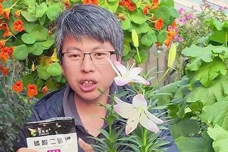 山东两岁的“天赐宝宝”被父母抱着出现在直播间里,这对孩子会产生影响吗...