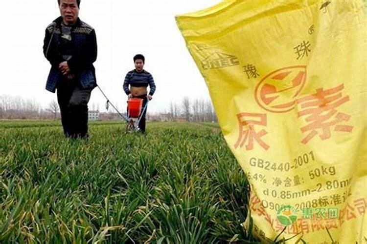 旱地龙有机水溶肥料多少钱一瓶