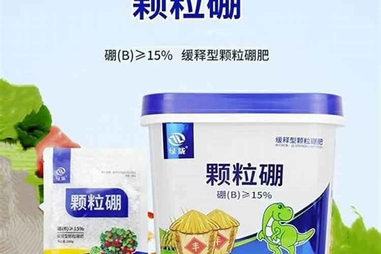 甘蔗的种子北方种什么品种甘蔗？
