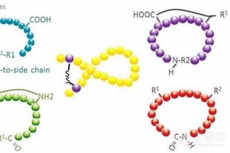 芸苔素能拌麦种吗