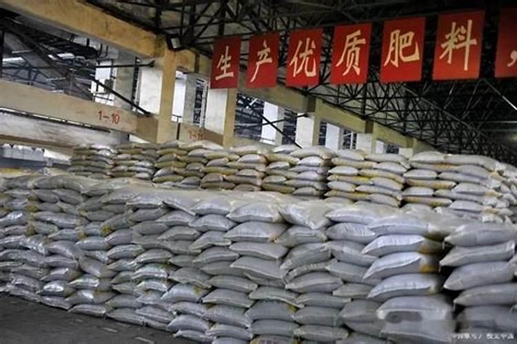 种植萝卜不管施哪些肥料