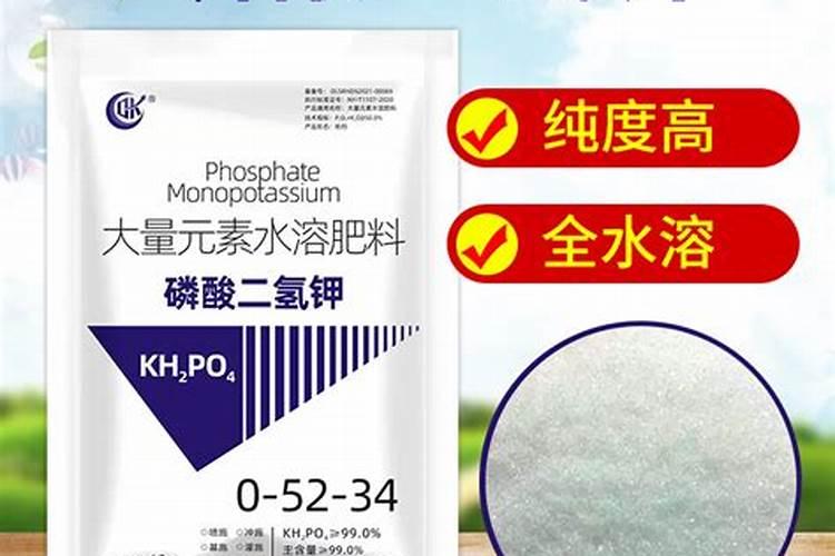 大豆卵磷脂是什么