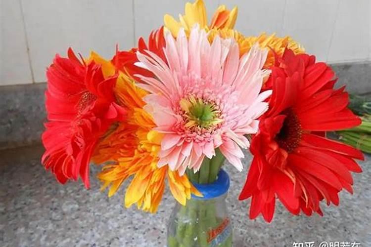 菜籽油饼直接可以施肥吗