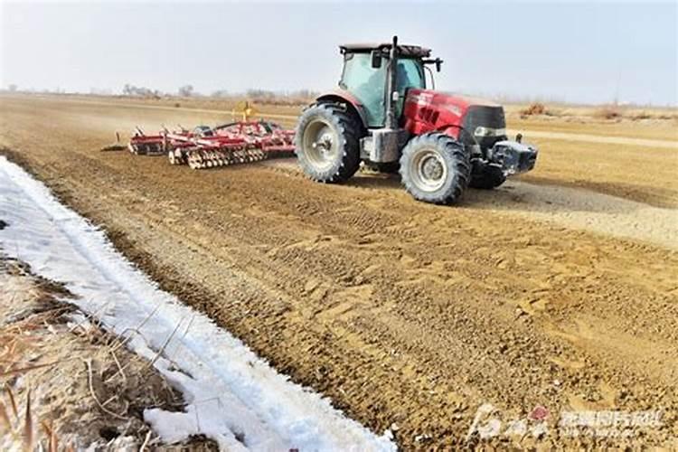 营养土哪个品牌的比较好