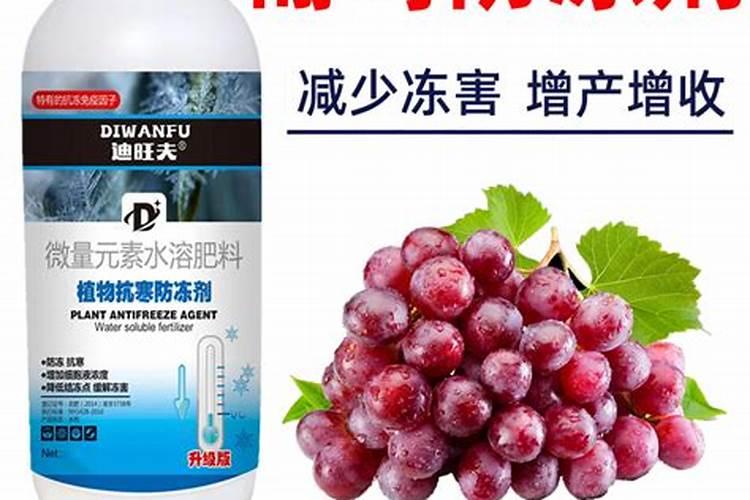 小麦拌种最好的三种药