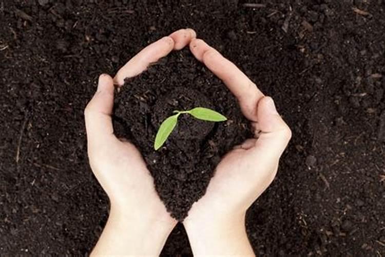 缓控释肥和复合肥哪个好 ？