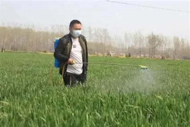 沃夫特缓控释肥 价格