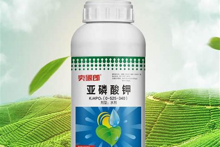 神奇的亚磷酸钾,用处多多？好处多多？5大特点值得一看
