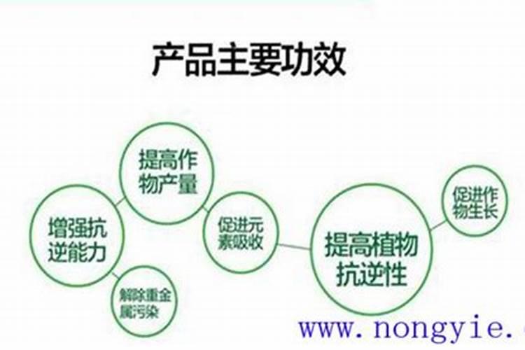 萃能牌蓝荷大肚子减肥茶产品药理