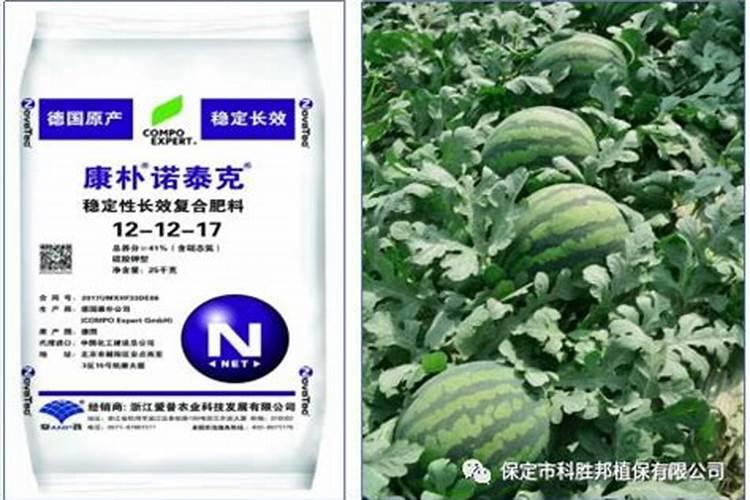 甜瓜增甜剂对人有害吗