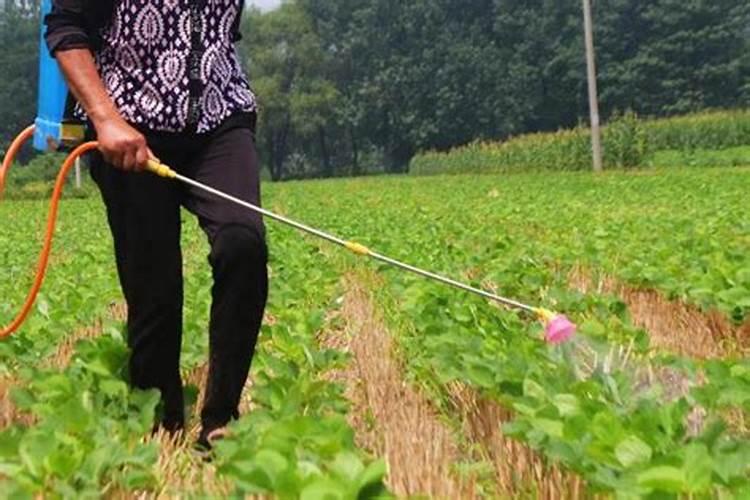 齐丰公司属于什么档次