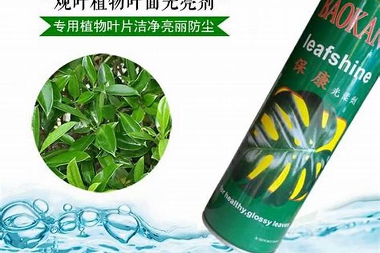 花卉叶面肥用什么好 花卉叶面肥浓度多少合适