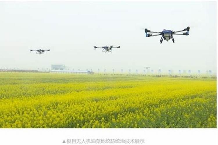 百香果多久下一次肥,施什么肥挂果多？