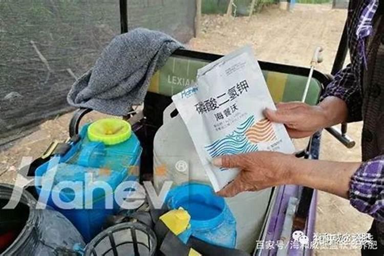 果树化学防霜冻方法