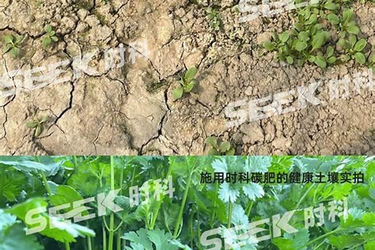 禽畜粪便怎么发酵腐熟呀？是什么意思呀？求解答