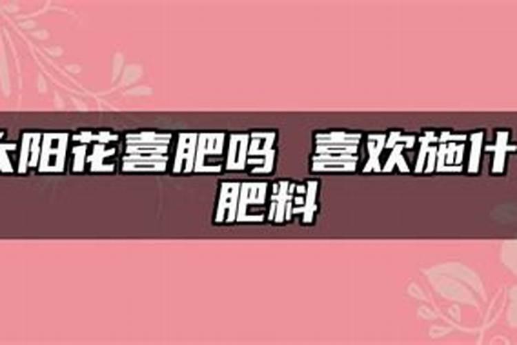 在缺镁的土壤上最宜施用那种氮肥